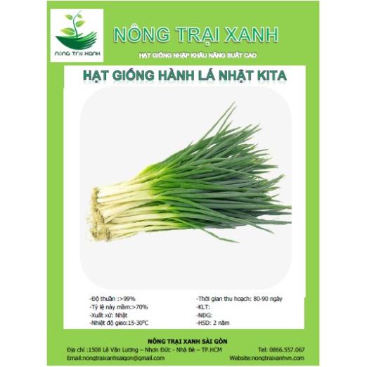 Hạt Giống Hành Lá Cao Sản  - Thơm, Giàu Dinh Dưỡng - MUA 3 TẶNG 1 CÙNG LOẠI