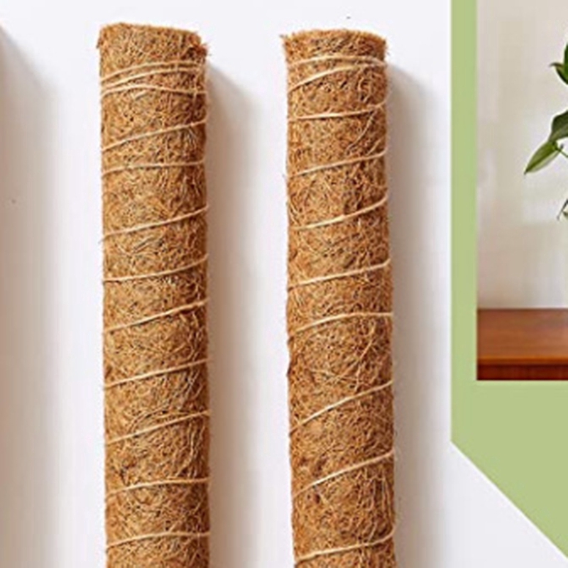 Thanh xơ dừa trồng cây/ hoa dây leo/cây thìa là tiện lợi