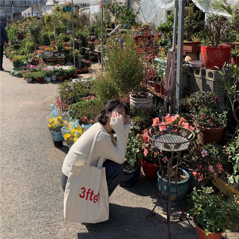 Túi Xách Vải canvas Cỡ Lớn Phong Cách Nhật Hàn Thời Trang 2022 Cho Nữ