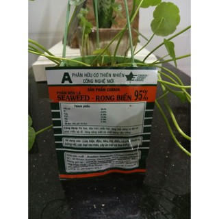PHÂN BÓN LÁ RONG BIỂN SEAWEED CANADA CHO HOA HỒNG, LAN, MAI VÀNG