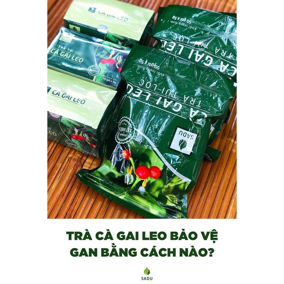 Trà túi lọc cà gai leo Sadu gói 1kg