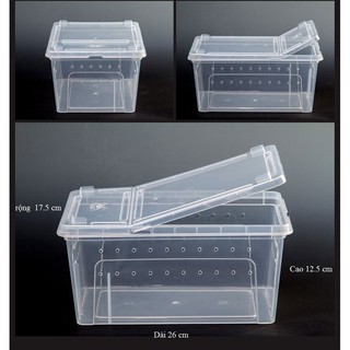 Hộp nuôi bò sát , hộp nhựa nuôi bò sát chữ nhât dành cho thú cưng nhỏ.Dùng để nuôi pet hoặc mang pet đi chơi