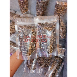 Hạt Hướng Dương cho Hamster