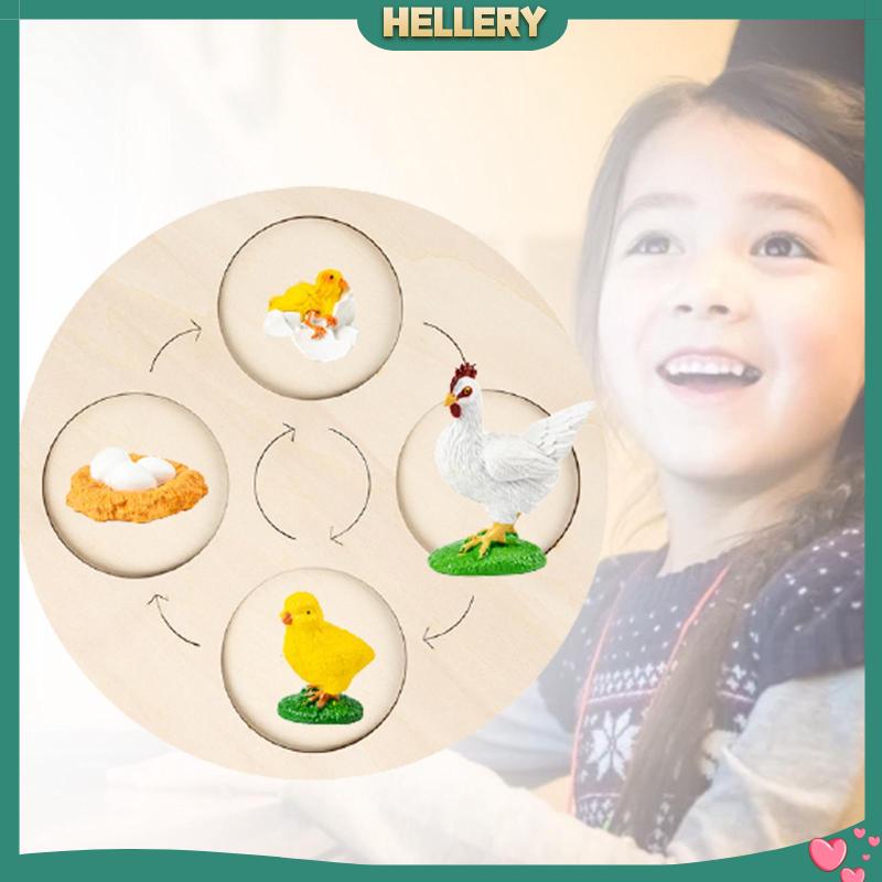 Bảng Mạch Tăng Trưởng Chu Kỳ Montessori Sớm Cho Bé [HelleryVN] #Educational Balo Đi Học Mẫu Giáo Dễ Thương Cho Bé
