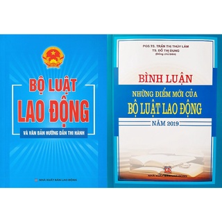 Sách combo bộ luật lao động và văn bản hướng dẫn thi hành - bình luận những điểm mới của bộ luật lao động năm 2019