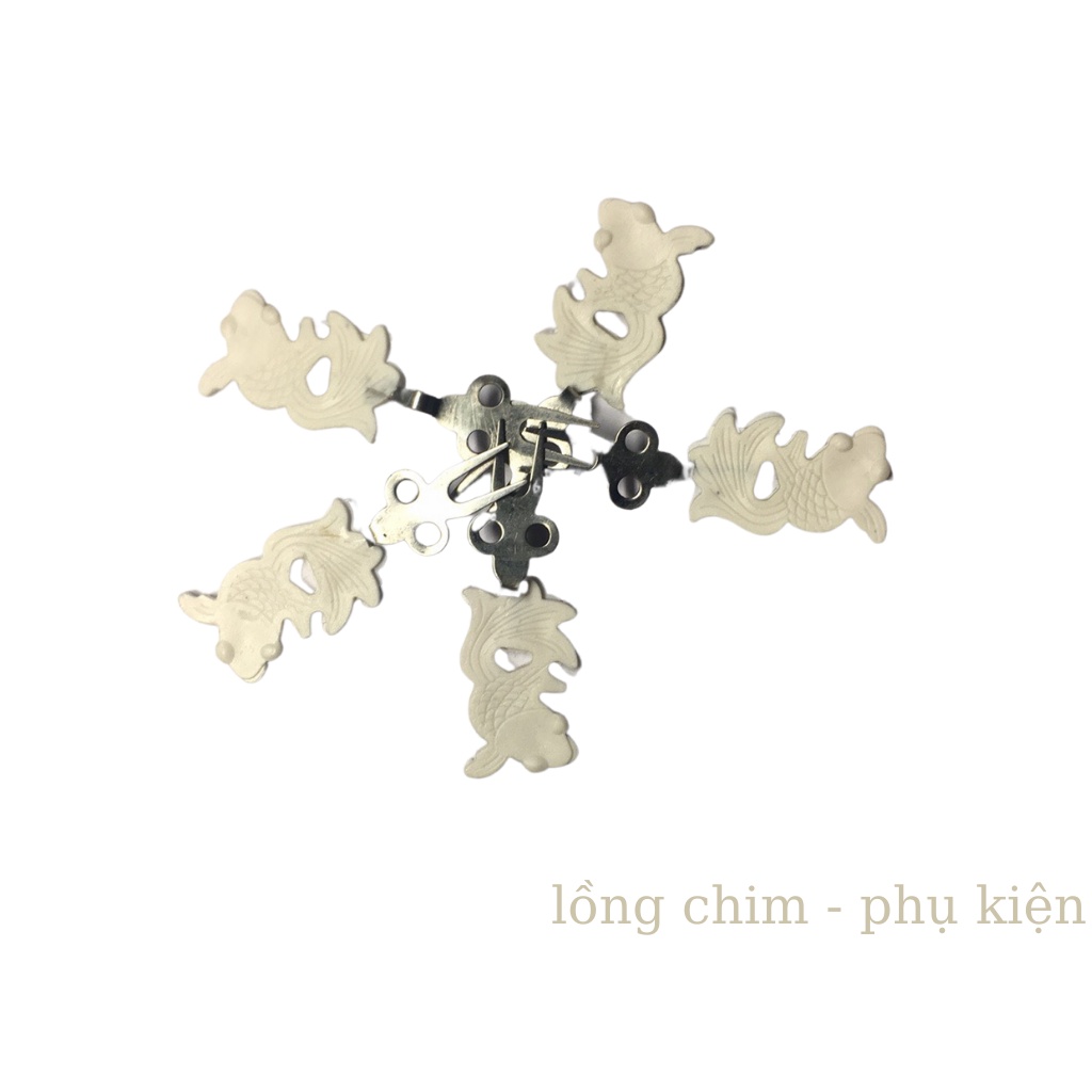 Xiên hoa quả Xiên chuối, hoa quả đẹp cho chim(chào mào, chòe, khuyên,..)