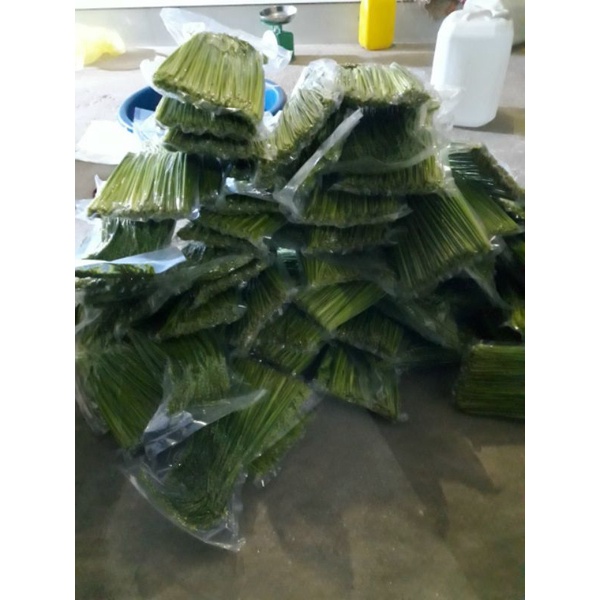 Đòng đòng nếp ngâm rươu