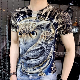 Ao thái 3d dạ quang