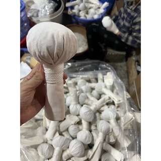 CÂY MUỐI CHƯỜM MẮT THẢO DƯỢC