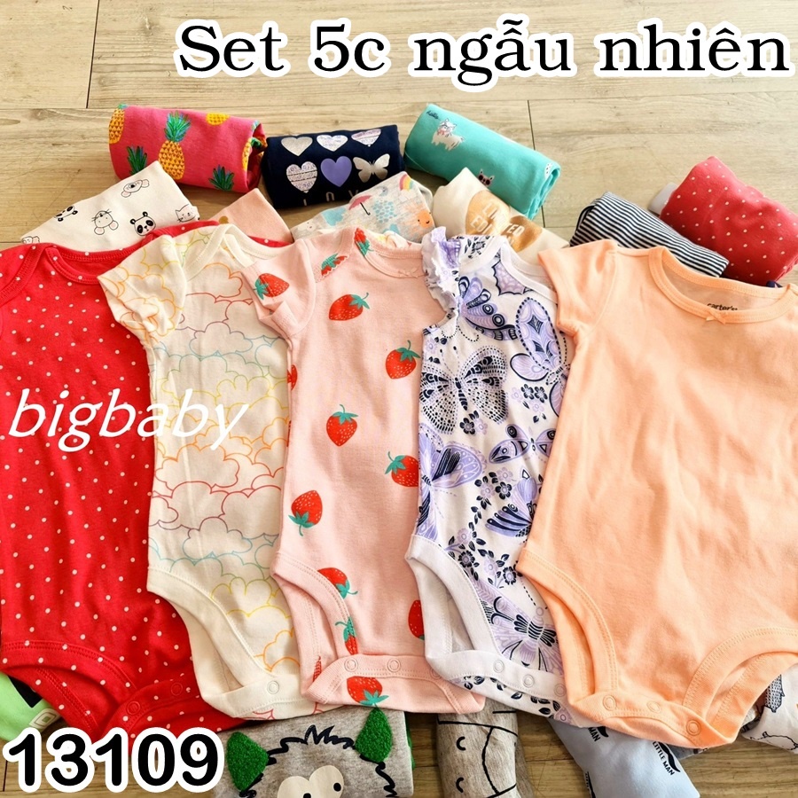 SET 5 BODY CHIP CARTER XUẤT XỊN RANDOM CHO BÉ GÁI SƠ SINH - 13KG 13109