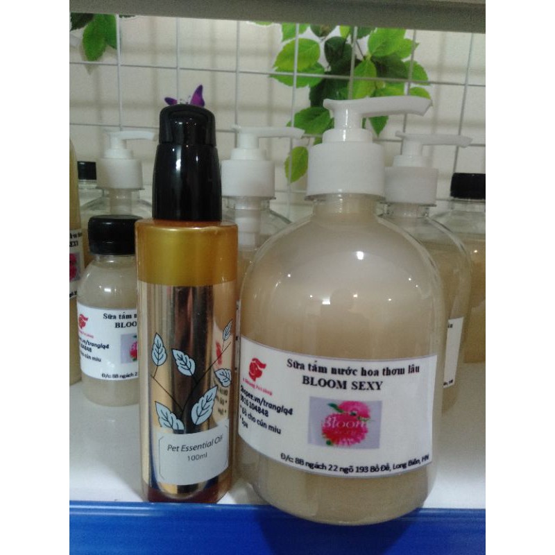 Combo dầu dưỡng showqueen và sữa tắm Jasmine/Rose/Bloom mùi cũ - Dầu dưỡng+Bloom