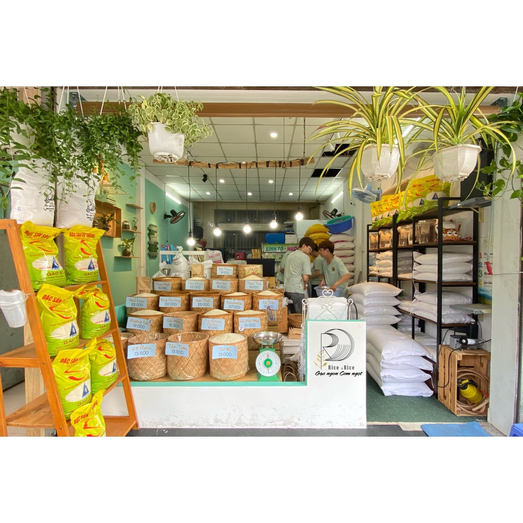 Túi 5KG Gạo Lài Sữa - Mùi thơm nhẹ và dẻo dai, ngọt cơm - Rice&Rice