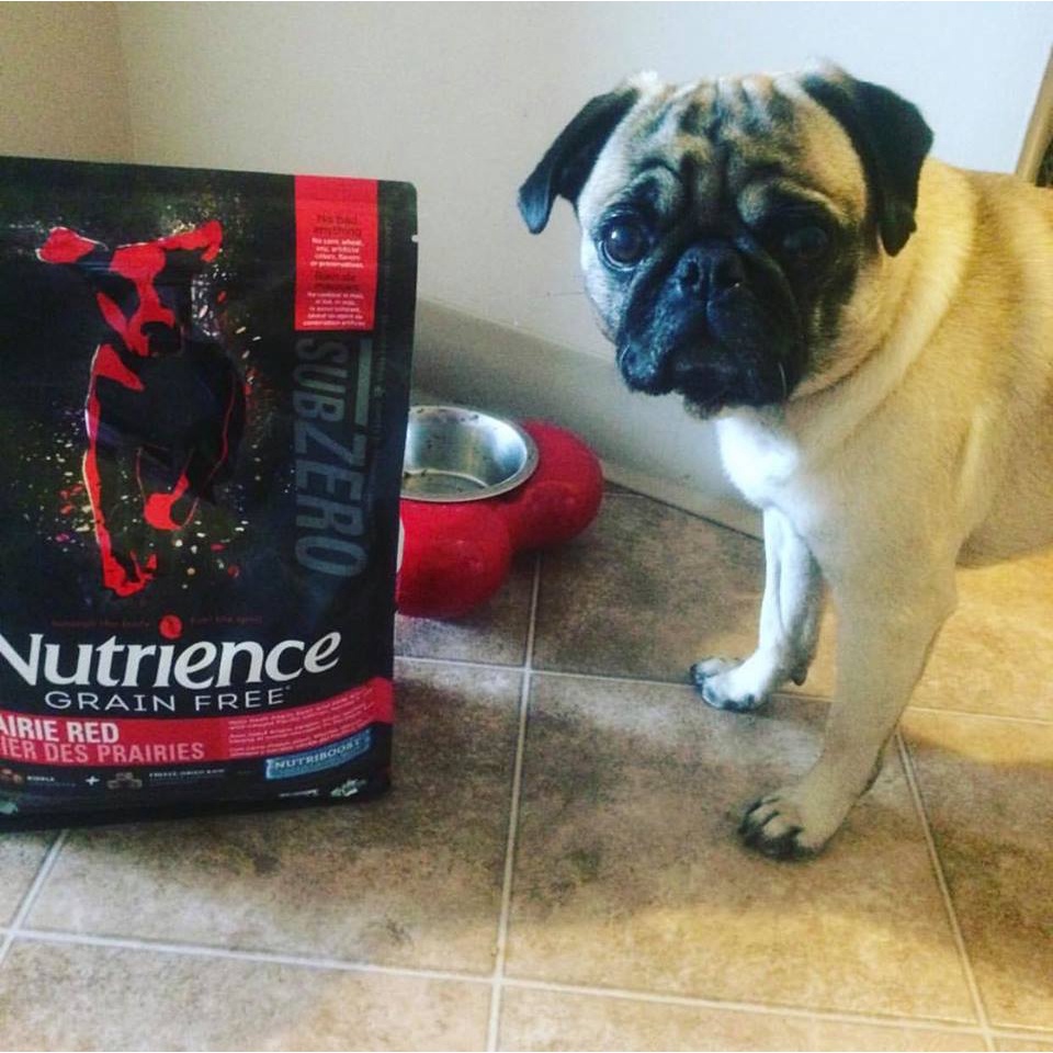 Thức Ăn Hạt Cho Chó Bulldog Nutrience Subzeo Bao 2.27kg - Thức Ăn Cho Chó, Gồm Có 6 Loại Thịt Cá, Rau Củ Trái Cây