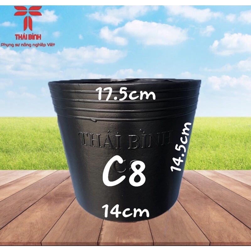 (Giá Sỉ) Combo 100 cái chậu nhựa C8