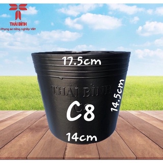 Combo 100 cái chậu nhựa c8