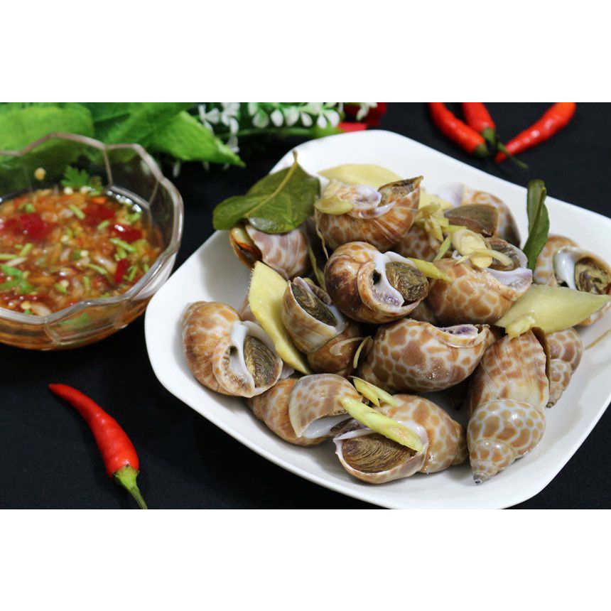 [HCM] Ốc Hương Quế nhập khẩu 500gr / 1kg - Nhất Tín Food