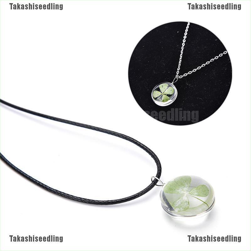Khuôn Mặt Cỏ Bốn Lá Sang Trọng