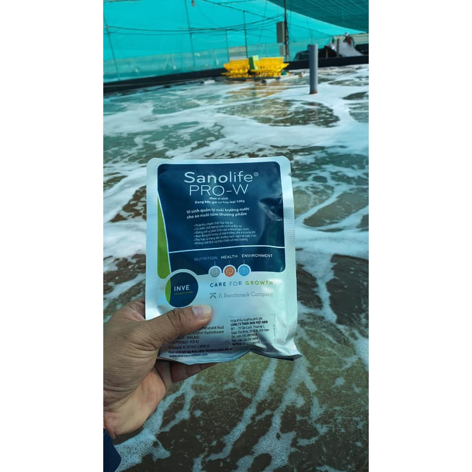 Vi Sinh Xử Lý Nước- PRO-W SANO LIFE - 100G -Men vi sinh quản lý môi trường nước cho ao nuôi Tôm  Cá thương phẩm