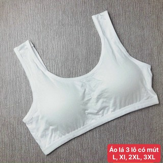 Sét  05 Áo Lá Học Sinh Mút Mỏng hàng cao cấp dành cho các bé cấp 2 & cấp 3(40kg - 79kg )