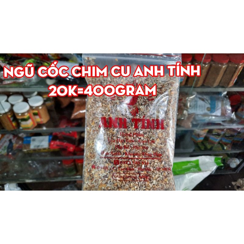 ngu coc cu gay
