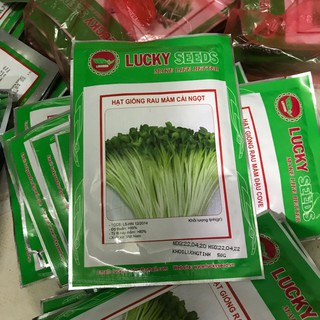 1KG HẠT GIỐNG RAU MẦM CẢI NGỌT