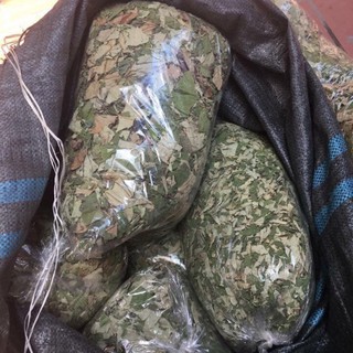 Lá sen khô 1 Kg thanh nhiệt giảm cân