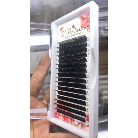 Mi chồn D’palashes cong D 16 line
