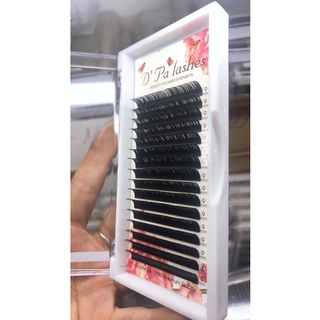 Mi chồn D’palashes cong D 16 line