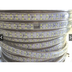 LED DÂY 2835 2 HÀNG BÓNG CUỘN 100M