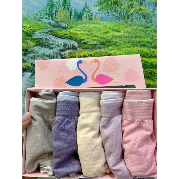 Hộp 5 Quần Lót Nữ Thiên Nga Siêu Đẹp Thấm Hút Mồ Hôi Tốt