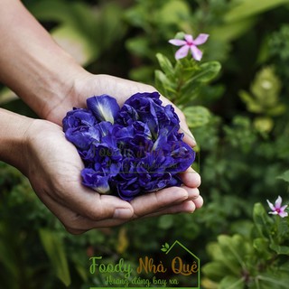 HOA ĐẬU BIẾC - HOA ĐẬU BIẾC KHÔ - HOA ĐẬU BIẾC ORGANIC 100GR