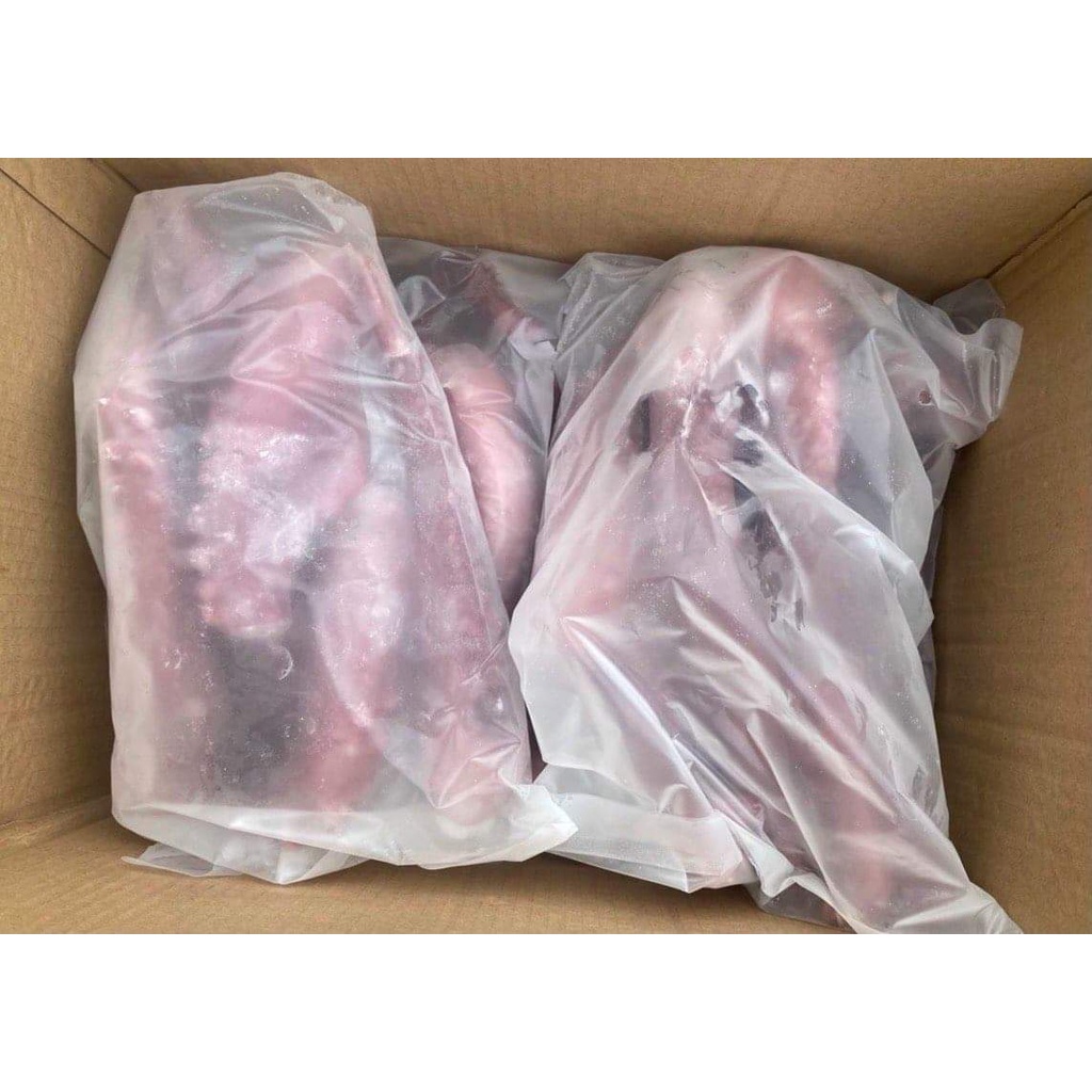 Râu bạch tuộc khổng lồ giòn dai có thể bảo quản lâu chế biến nhiều món