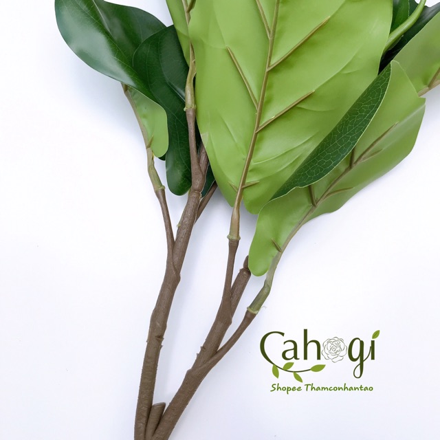 Cây Giả - Cây Bàng Singgapore 60cm Lá to