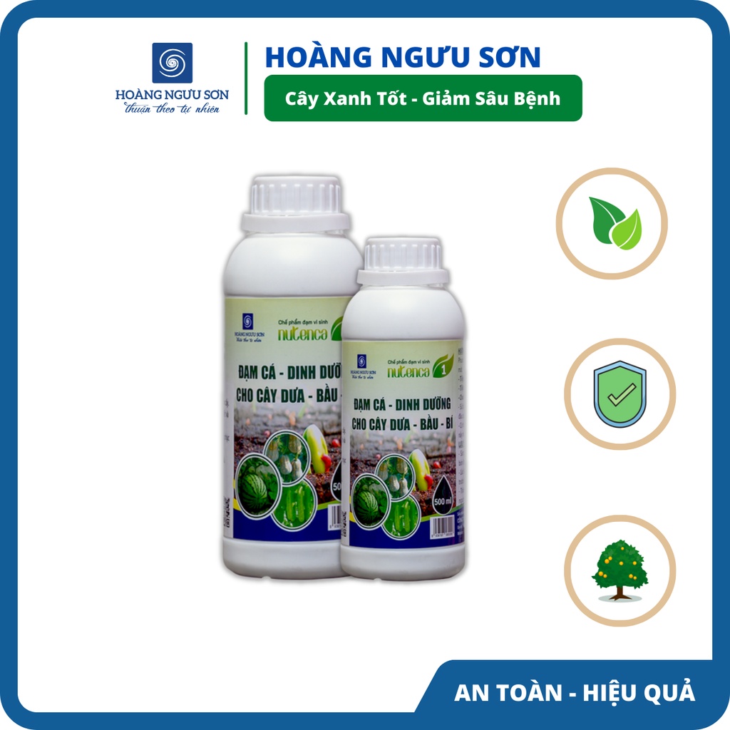 Phân Bón Đạm Cá Nutenca1 Dinh Dưỡng Chăm Sóc Cây Dưa, Bầu, Bí Lớn Nhanh, Cây Khỏe, Quả To Đẹp Hoàng Ngưu Sơn