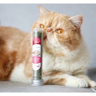 Cỏ bạc hà , cỏ mèo khô 20g cho mèo