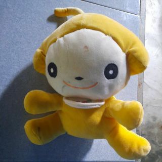 Gau bong cho no no