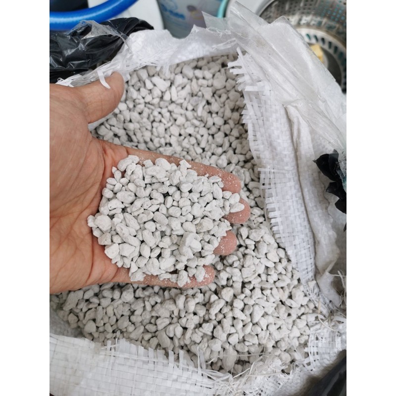 2kg Đá nham thạch/lông vũ thổ nhĩ kỳ size nhỏ