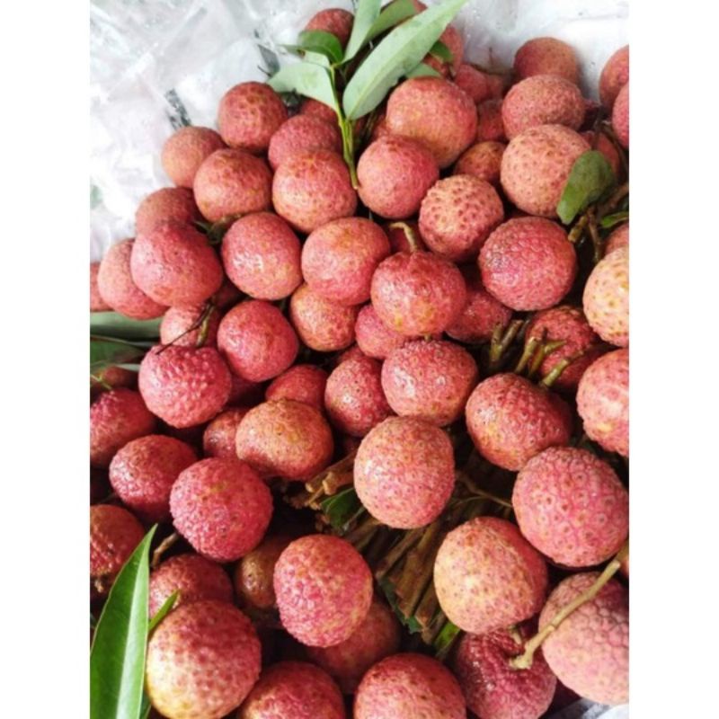 HCM Free Ship - 1kg Vải Thiều Loại Ngon Chính Gốc