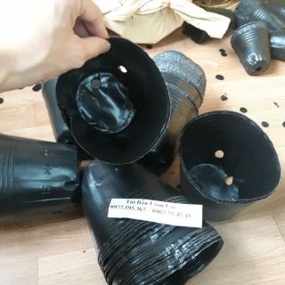 Bầu ươm cây 13x12 1kg 300 cái
