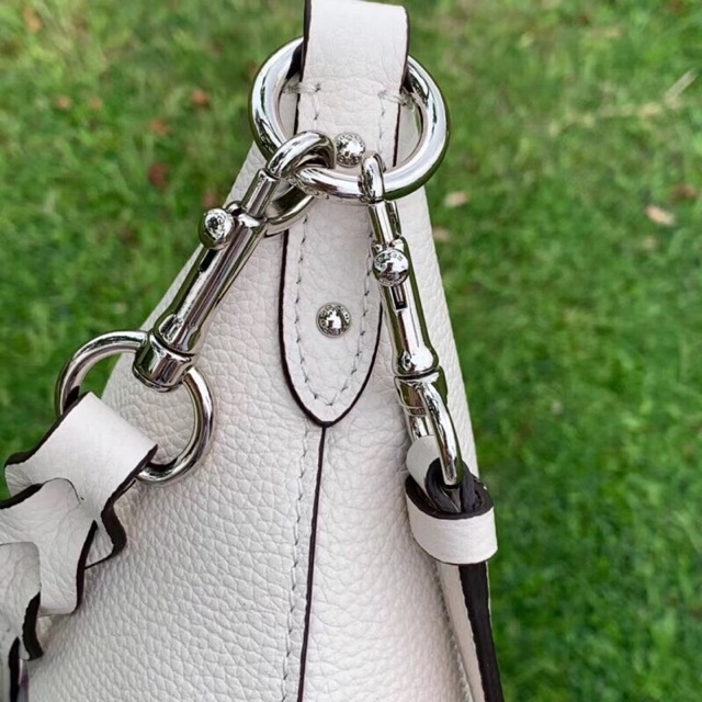 Túi Coach Disney X Jes crossbody xuất dư❤️❤️