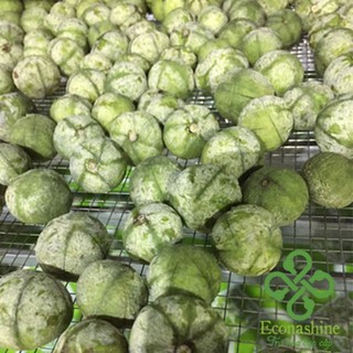 [SIÊU ĐẶC BIỆT] Quả sấu Hà Nội (Sấu tươi sấy lạnh gói 1kg)