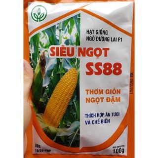Hạt giống Ngô đường lai F1 siêu ngọt SS88