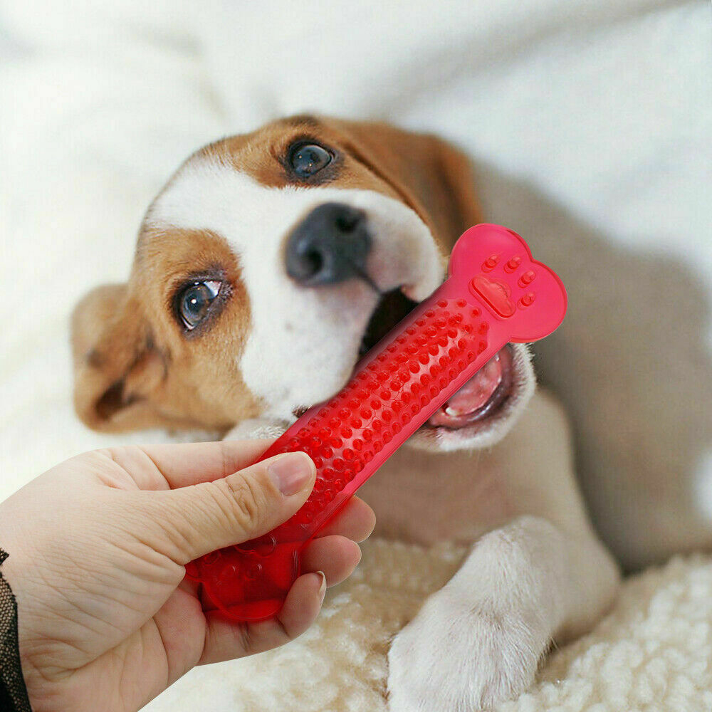 Hipidog dog chew toys đồ chơi xương cao su puppy bàn chải đánh răng phụ kiện cho thú cưng