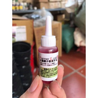 Kích kie Nhật ECOLI siêu mạnh cho Hoa Lan