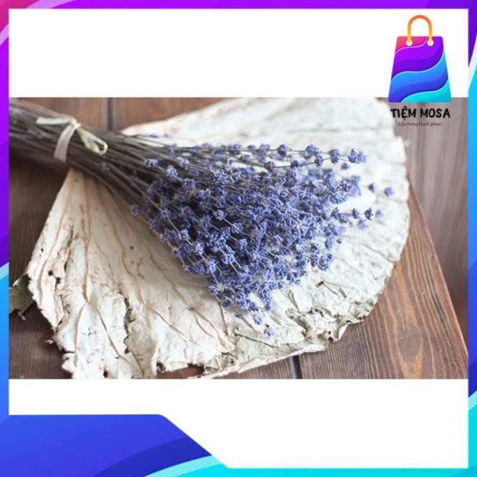 ❤️FREESHIP❤️Hoa Lavender khô nhập khẩu