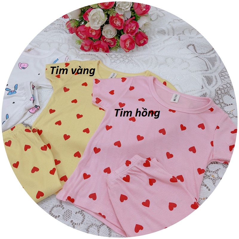 Bộ bé gái cotton tăm tim và thỏ quần ngố XHN938