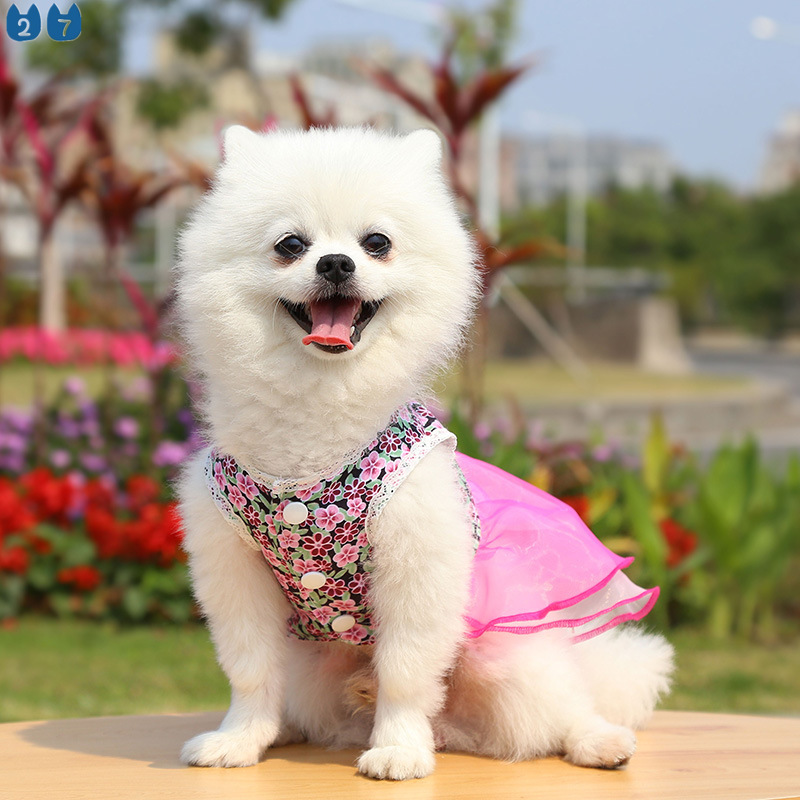 Đầm Cưới Công Chúa Họa Tiết Hoa Và Mèo Phong Cách Hàn Quốc 27Pets
