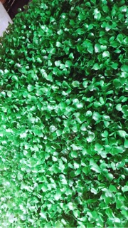 Thảm cỏ xoong treo tường khổ 40-60cm nhân tạo cỏ nhựa