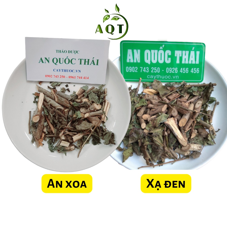 Combo Cây An Xoa Và Cây Xạ Đen (Mỗi Vị 0,5kg) Phòng Ung Thư, An Xoa Xạ Đen Tốt Cho Người Bệnh Gan