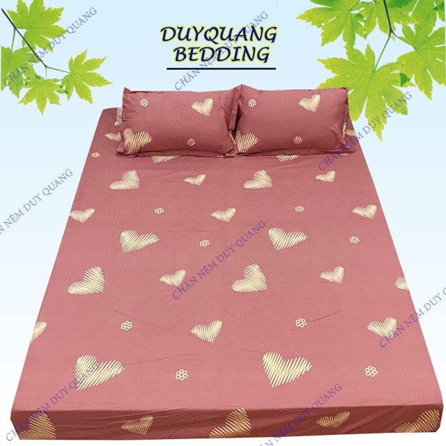 Bộ ga gối poly cotton drap giường và 2 áo gối ( nhiều mẫu lựa chọn )